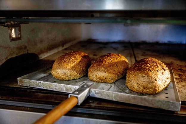 W przyszłym roku chleb będzie droższy /	Utrecht Robin/ABACA /PAP/Abaca