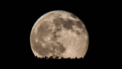 W przyszłym roku pierwszy turystyczny lot wokół Księżyca!