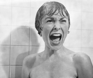 W rankingu przeprowadzonym przez sieć kin UCI pod koniec 2004 roku scena "pod prysznicem" z "Psychozy" obwołana została najwspanialszym filmowym momentem wszech czasów.

(PAP)