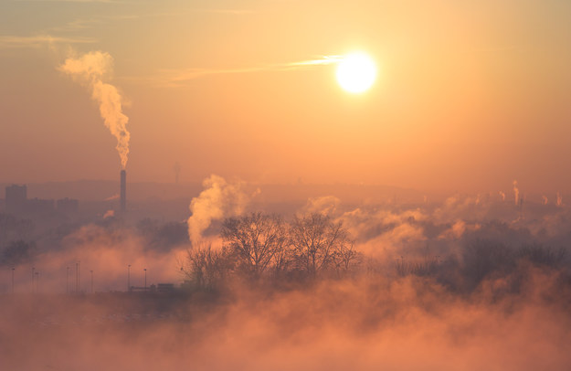 W razie przekroczenia norm osoby szczególnie wrażliwe na zanieczyszczenie powietrza powinny podjąć środki ostrożności m.in. zostać w domu. /Shutterstock