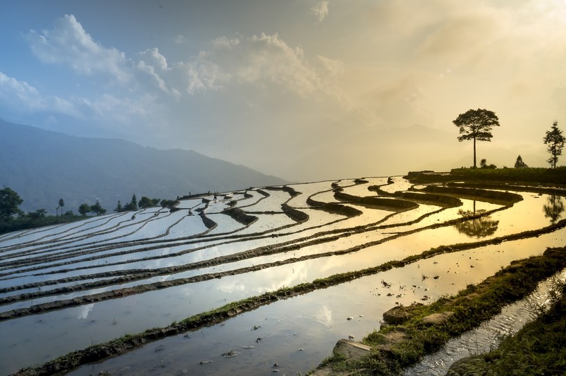 W regionach Azji, gdzie uprawia się ryż, sterasowane stoki są częstym widokiem /Pixabay.com