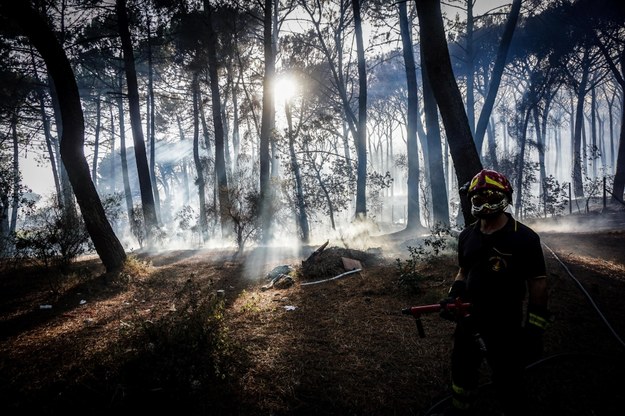 W rejonie Wezuwiusza koło Neapolu kolejny dzień z rzędu trwa walka z pożarem na zboczach wulkanu /CESARE ABBATE /PAP/EPA