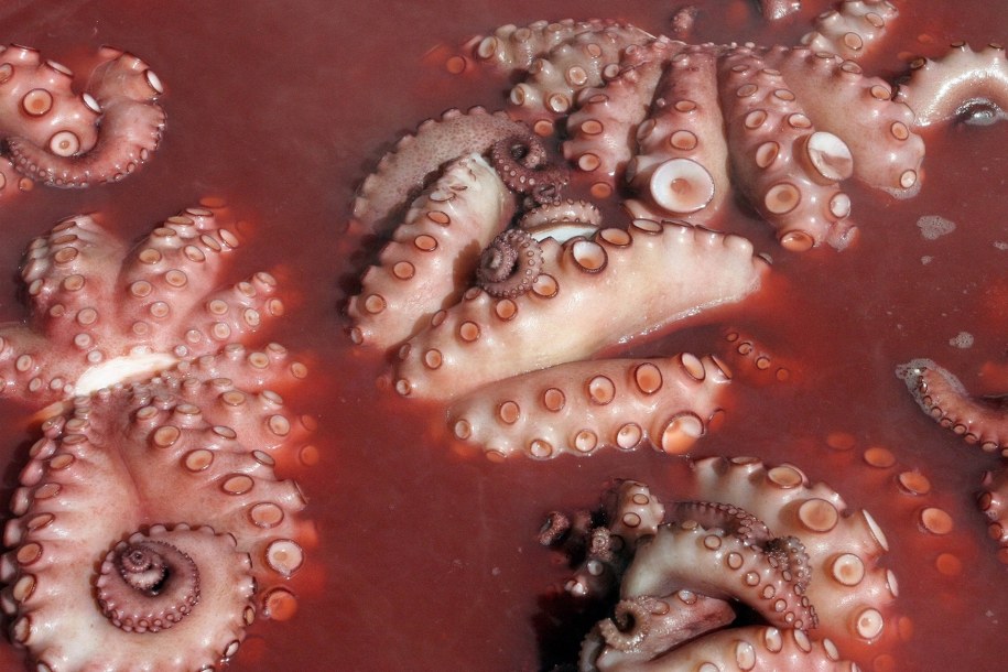 W restauracji RMF & Przyjaciele skosztujecie m.in. gotowanych ośmiorniczek /DPA/Heiko Wolfraum /PAP