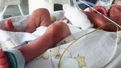 W Rudzie Śląskiej urodziły się czworaczki!