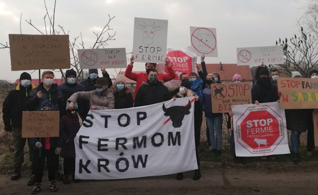 W Sadkowie powstanie ferma krów. Mieszkańcy protestują