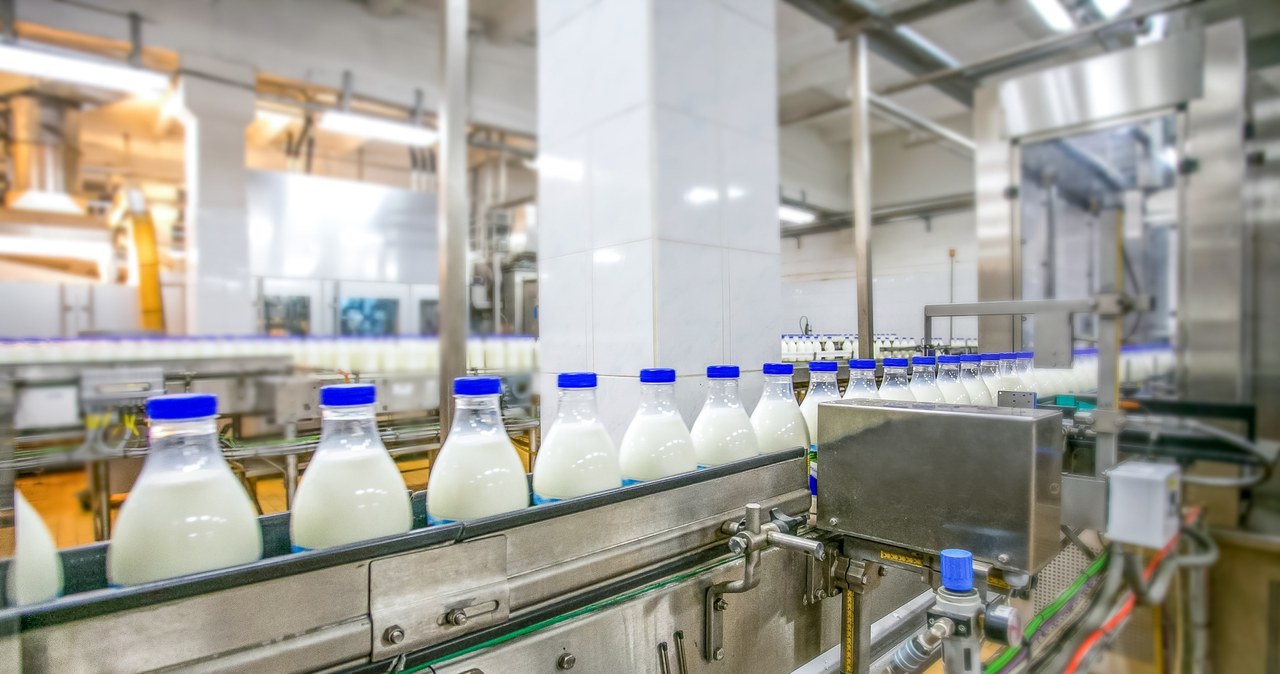W Serbii zamrożono ceny podstawowych produktów żywnościowych, m.in. mleka /123RF/PICSEL