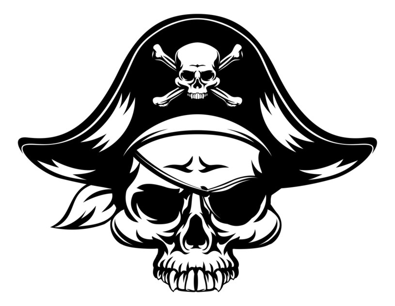 W sieci pojawia się coraz więcej piratów /123RF/PICSEL