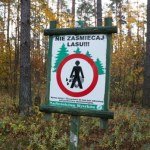 W sieci trudno o bezkarność. Nagranie zdradziło zaśmiecających las