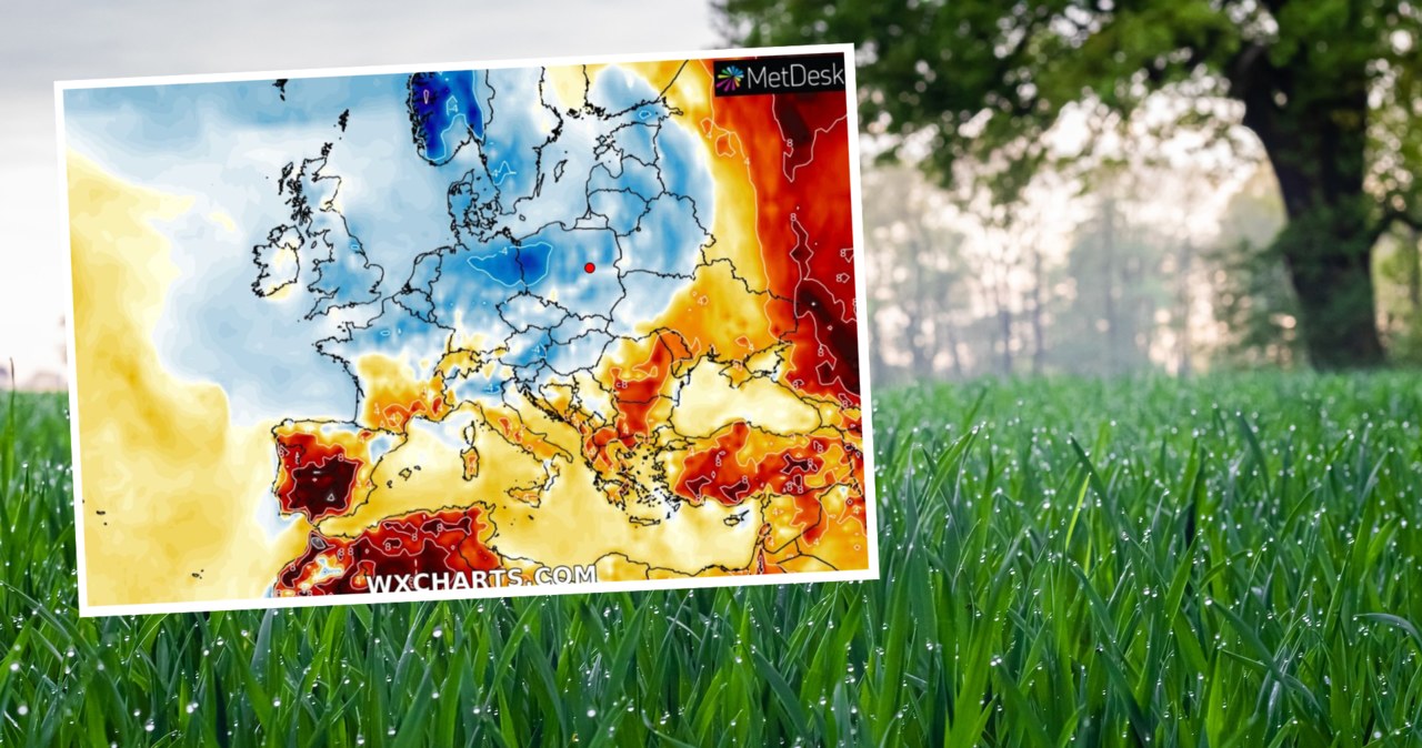 W sierpniu będzie wyraźnie chłodniej niż w lipcu. Należy się też spodziewać ulewnego deszczu /Mateusz Stępień/Unsplash/WXCHARTS /