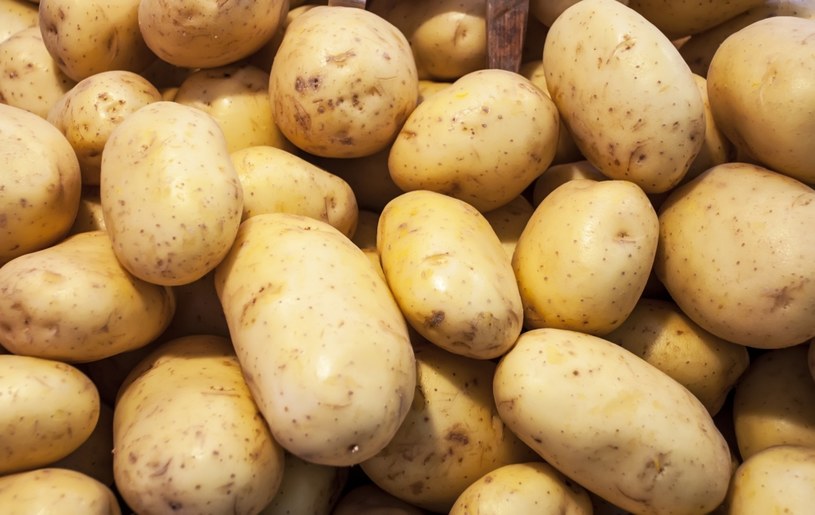 W sklepie zawsze zwracaj uwagę na gatunek ziemniaków /123RF/PICSEL