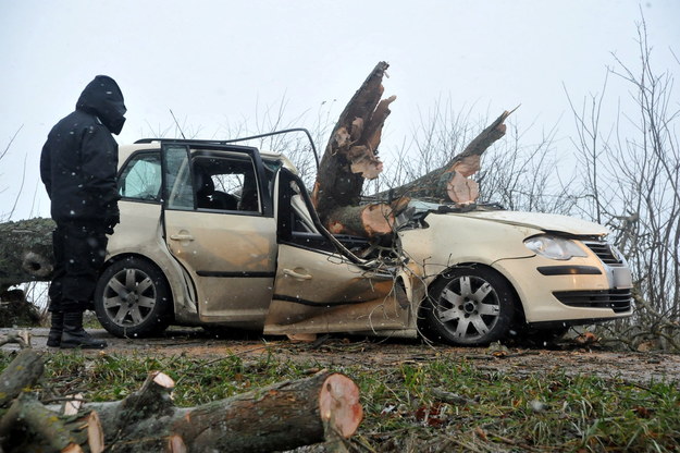 W skutek silnej wichury na jadący samochód spadło drzewo zabijając trzy osoby a jedną osobę ranną odwieziono do szpitala /Jan Dzban /PAP