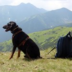 W słowackich Tatrach rusza letni sezon turystyczny. Uwaga na zmiany