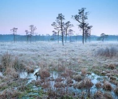 W sobotę na zachodzie kraju nawet 10 stopni Celsjusza