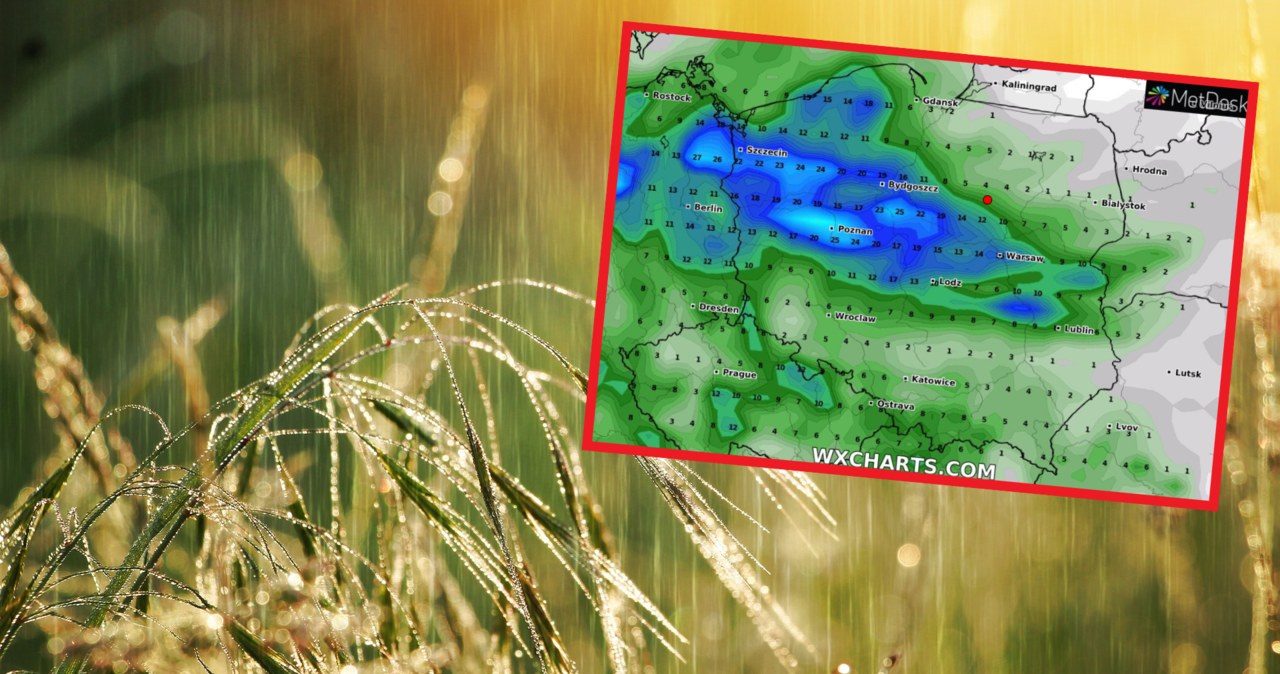 W sobotę prognozowane są deszcze i burze w większości Polski. Lokalnie może też padać grad /Pixabay/wxcharts /