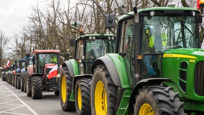 W środę "okrągły stół" ws. rynku zbóż. PSL składa wniosek o odwołanie Kowalczyka