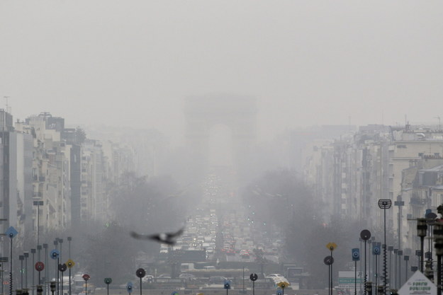 W środę Paryż został uznany za najbardziej zanieczyszczone miasto na świecie /YOAN VALAT  /PAP/EPA