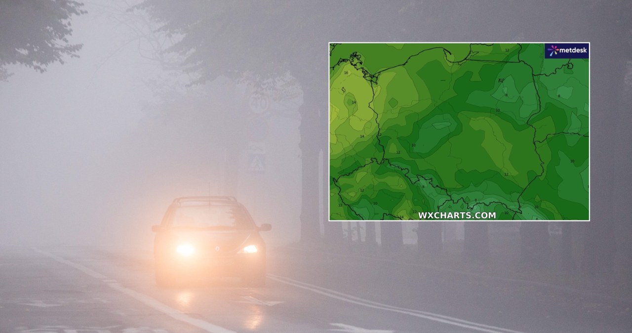 W środę rano gęste mgły utrzymywały się nad dużą częścią Polski. Lokalnie utrudnienia mogą potrwać do południa /Łukasz Antczak/Agencja Wyborcza.pl/WXCHARTS /