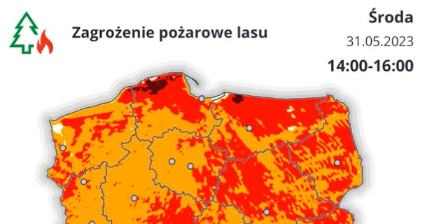 W środę w większości kraju obowiązuje wysoki stopień zagrożenia pożarowego lasu /IMGW