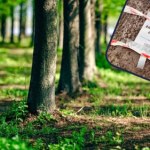 W środku miasta chcą wyciąć 98 drzew. Mieszkańcy się nie poddają 