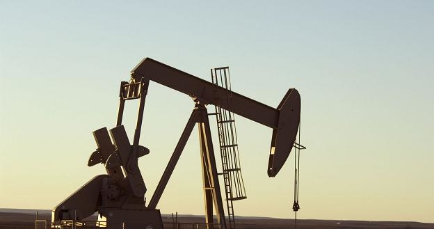 W Stanach wydobywa się 6,41 mln baryłek ropy dziennie /&copy;123RF/PICSEL