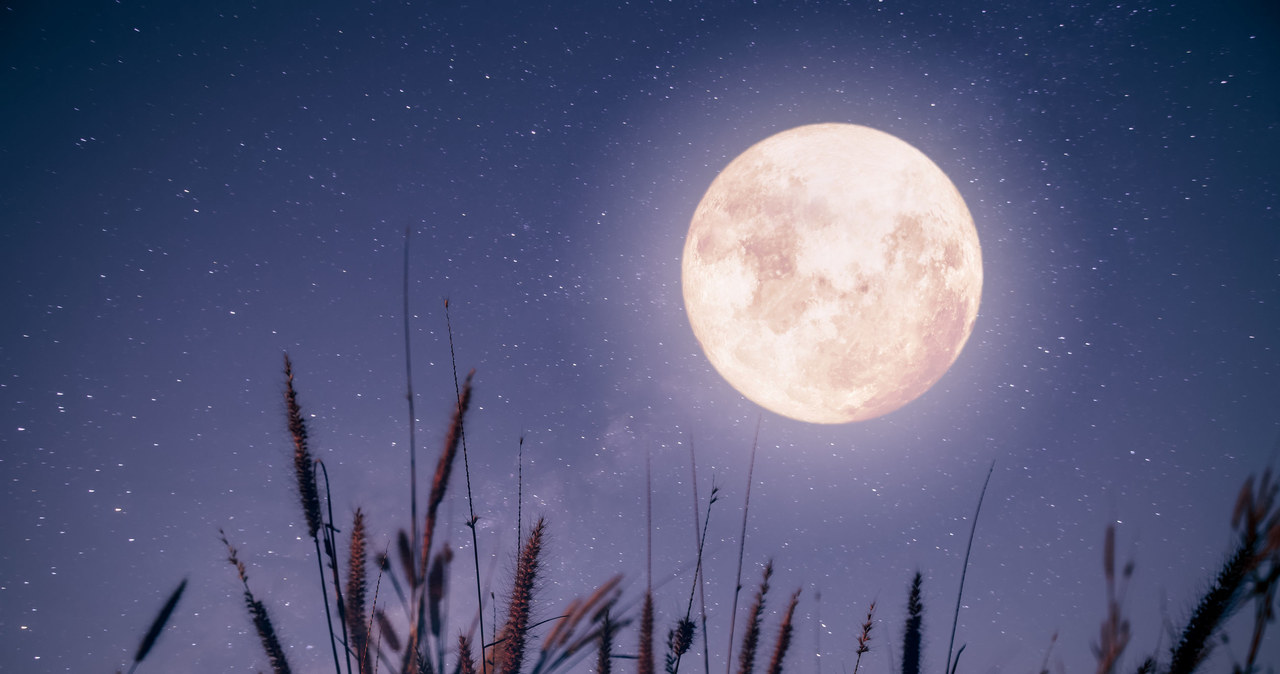 W starożytności księżyc był wyznacznikiem mijającego czasu, a nasi przodkowie szukali w nim wiedzy i mądrości /123RF/PICSEL