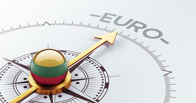 W styczniu 2015 r. Litwa dołączy do strefy euro /&copy;123RF/PICSEL