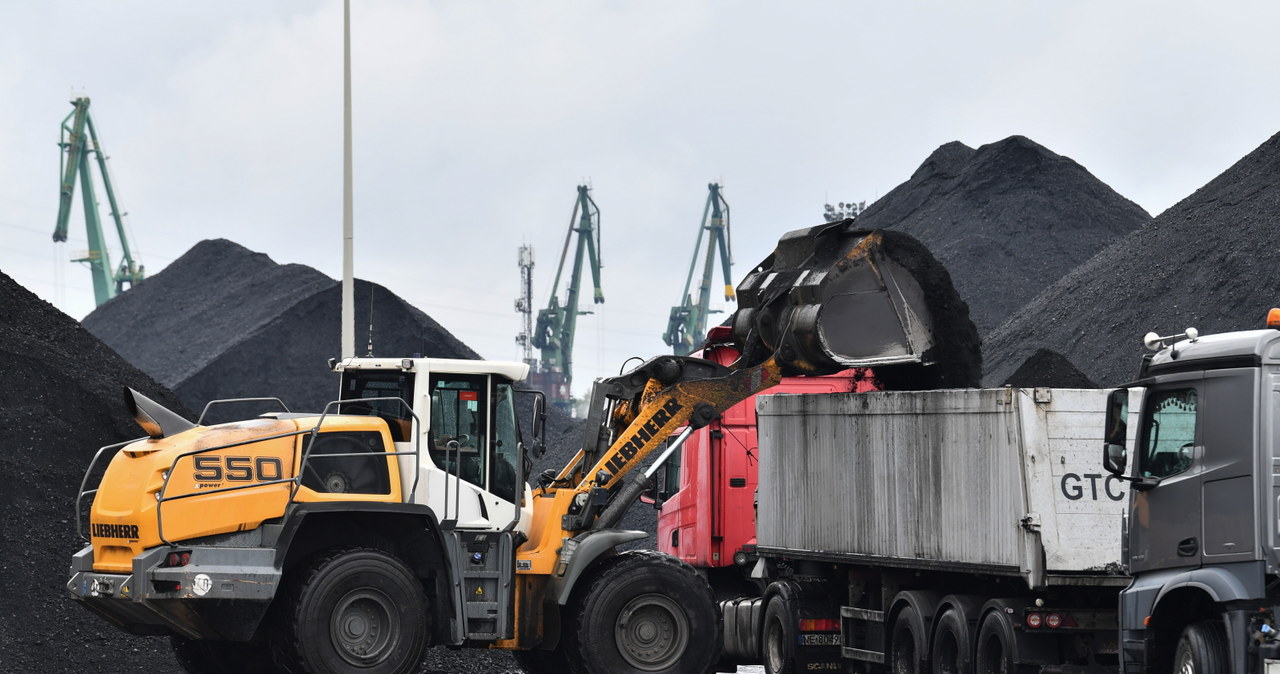 W styczniu import węgla energetycznego do portów Europy Zachodniej wyniósł nawet 9,4 mln ton /Jan Dzban /PAP