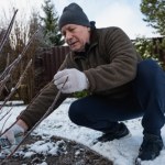 W styczniu sięgnij po tę rzecz z garażu. Te rośliny potrzebują twojej uwagi