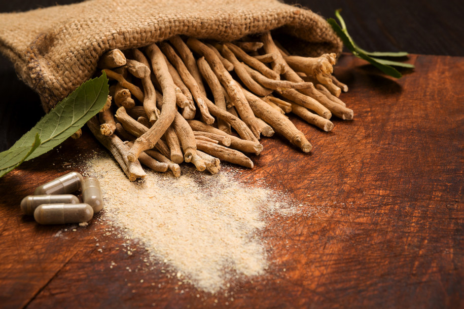 W suplementach diety wykorzystuje się przede wszystkim korzeń ashwagandhy w postaci wyciągu, ekstraktu lub w formie sproszkowanej /Shutterstock