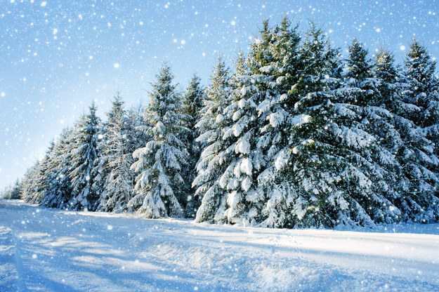W święta Bożego Narodzenia raczej nie spodziewajmy się mrozów czy intensywnych opadów śniegu. /Shutterstock