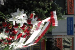 W Szczecinie na minutę stanęła komunikacja miejska  