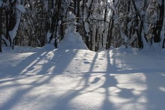 W Tatrach mocno sypnęło śniegiem. I wyjrzało słońce 