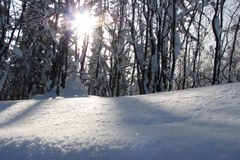 W Tatrach mocno sypnęło śniegiem. I wyjrzało słońce 