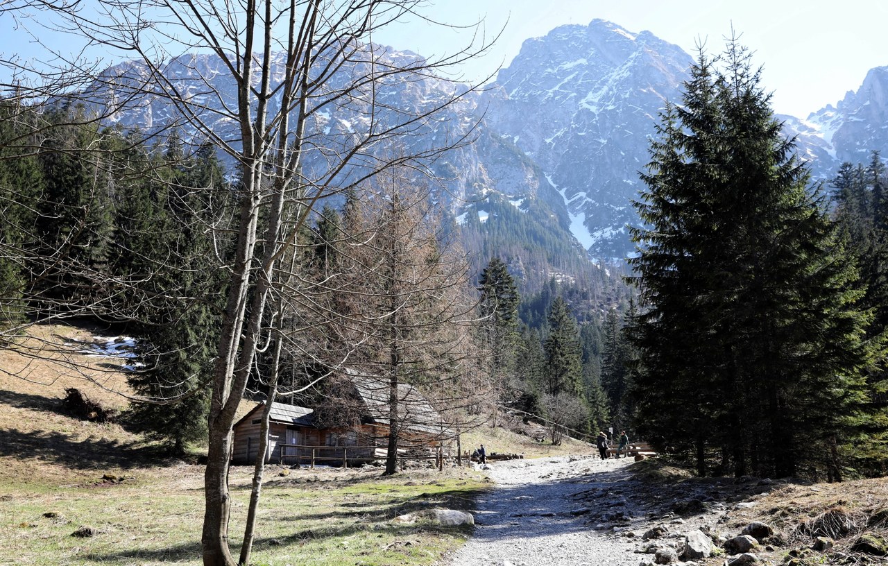 W Tatrach na szlakach dzikie zwierzęta zamiast turystów