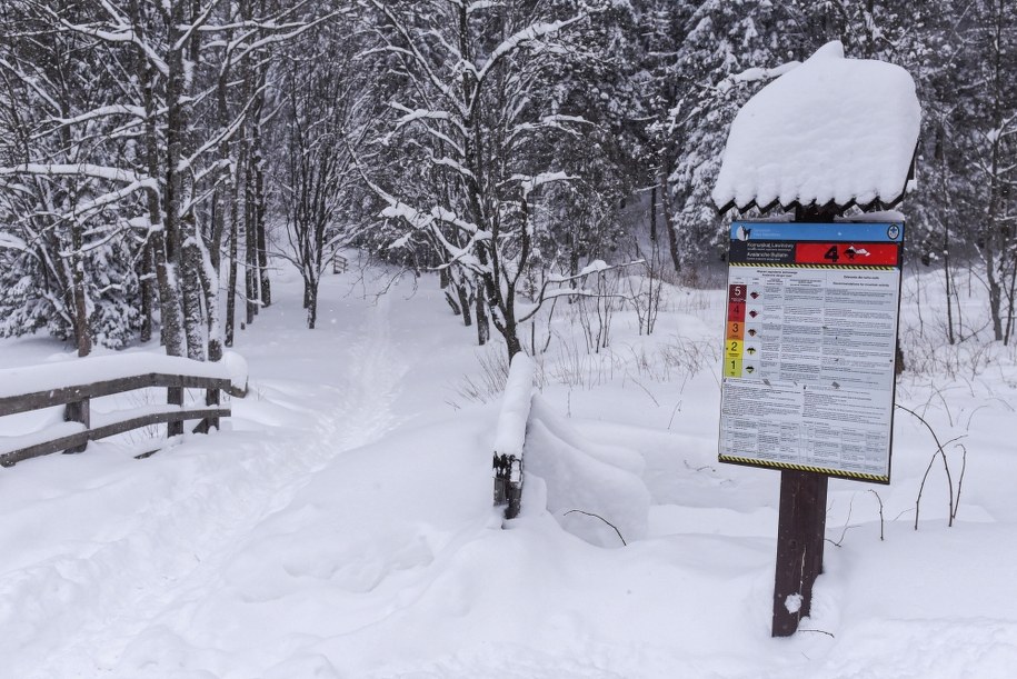 W Tatrach obowiązuje czwarty stopień zagrożenia lawinowego /Jan Niedziałek /PAP