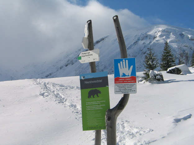 W Tatrach obowiązuje trzeci stopień zagrożenia lawinowego /Maciej Pałahicki /RMF FM