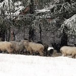 W Tatrach spadł śnieg! TOPR ostrzega: Jest bardzo zimno i ślisko