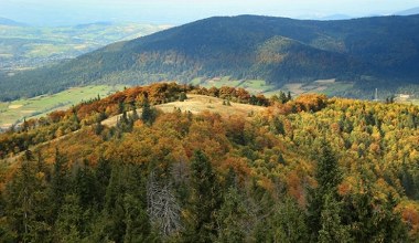  W Tatrach tłumy, a na tym szlaku pusto. Łatwa trasa i wieża widokowa na szczycie 