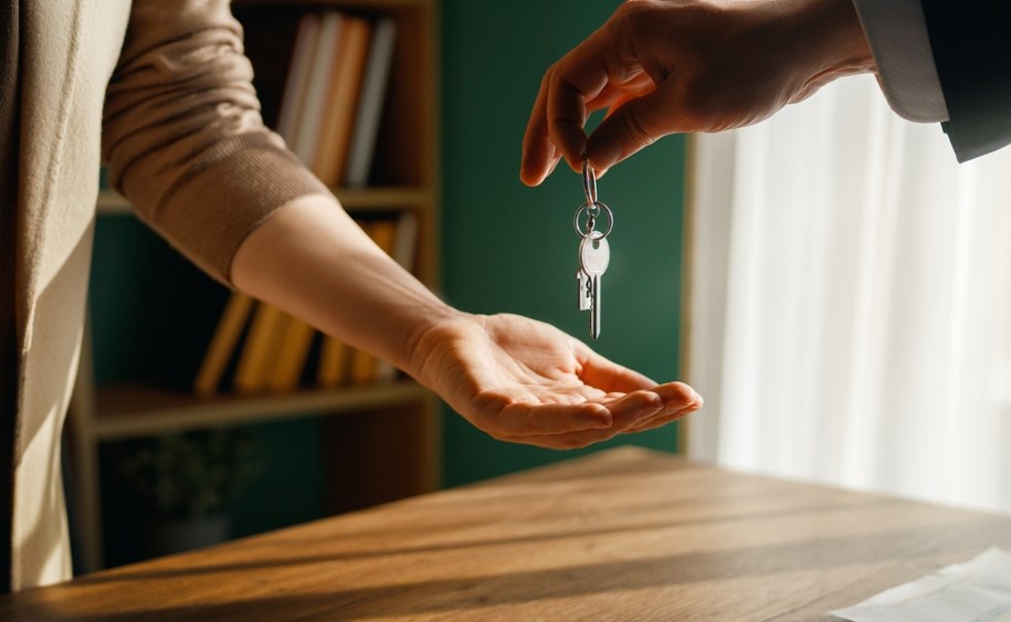 W jakim kierunku zmierza rynek pracy? Najnowsza prognoza MEN