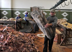 "W tej chwili odbywa się masowy ubój norek i lisów, bo ich futra pięknieją na zimę"