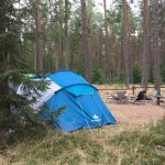 W tej części Polski już nie rozbijesz namiotu. Powodem są niedźwiedzie