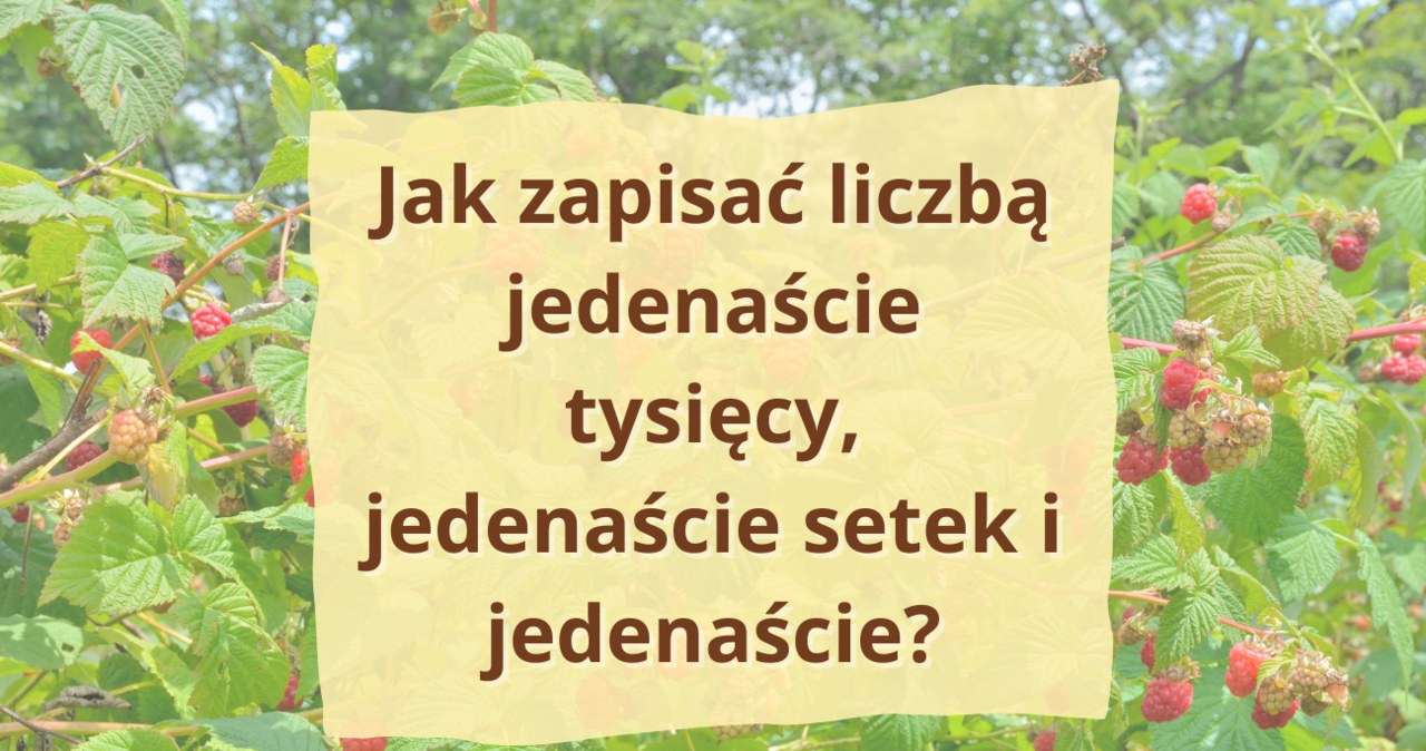 W tej zagadce matematycznej można dać się zwieść /Canva Pro