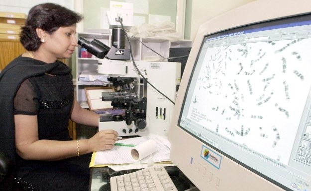 W telomerach tkwi zagadka nieśmiertelności /AFP