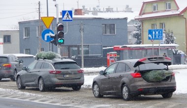 W ten sposób nigdy nie przewoź choinki. Możesz dostać wysoki mandat