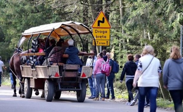 W ten weekend w Tatrach odbędą się badania koni i testy hybrydowego wozu