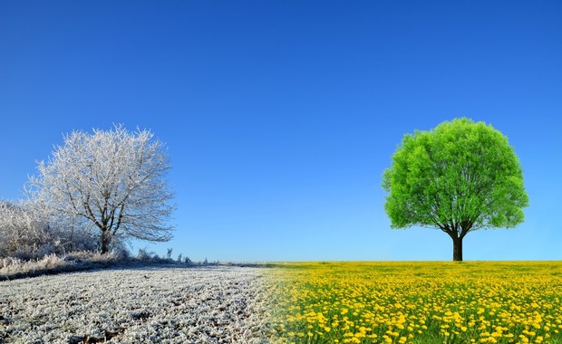 W ten weekend wróci zima. Kiedy przyjdzie wiosna? [PROGNOZA POGODY]