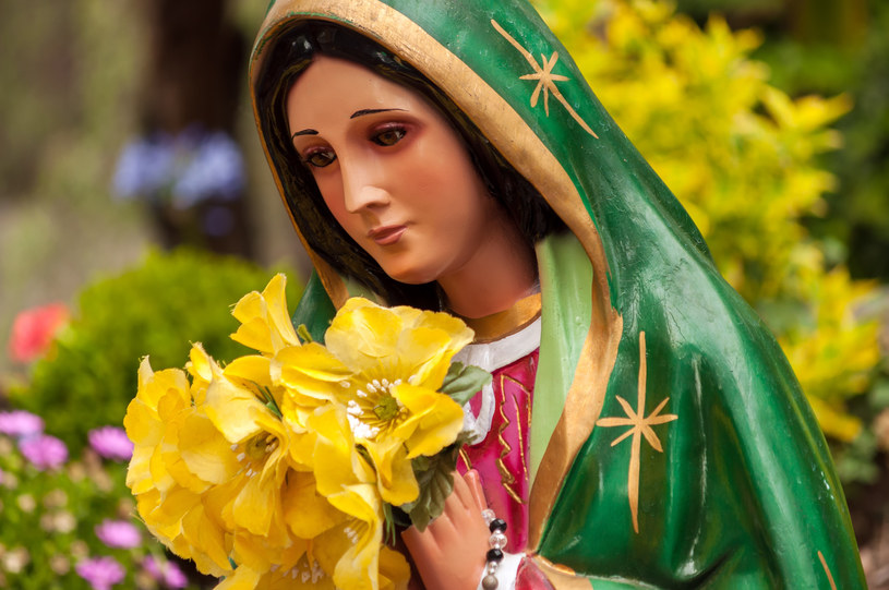 W tradycji ludowej Matka Boska, będąca jednocześnie opiekunką 15 dnia sierpnia, jest czczona jako patronka ziół, kwiatów, owoców i zbóż /123RF/PICSEL