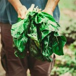 W trosce o środowisko. Koniec z pakowaniem warzyw i owoców w plastik we Francji