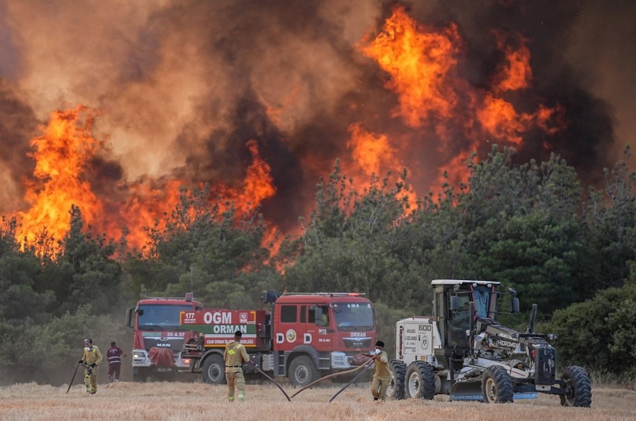W Turcji panują ekstremalne upały, które zwiększają ryzyko pożarów /AA/ABACA /PAP/EPA