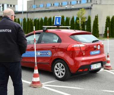 W tych polskich miastach najłatwiej zdać egzamin na prawo jazdy